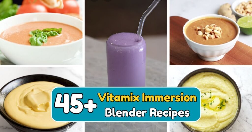 Vitamix Immersion Blender Recipes
