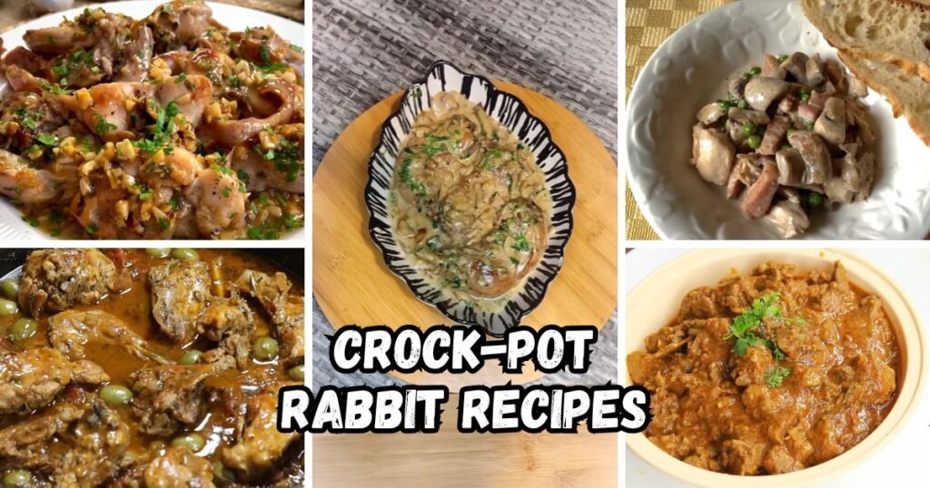 Crock-Pot Rabbit Recipes