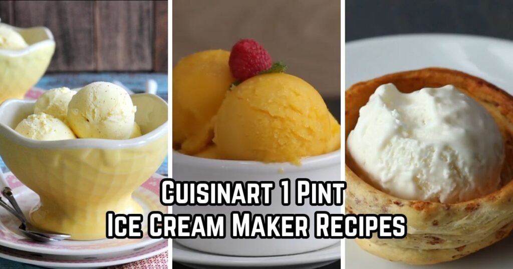 Cuisinart 1 Pint Ice Cream Maker Recipes