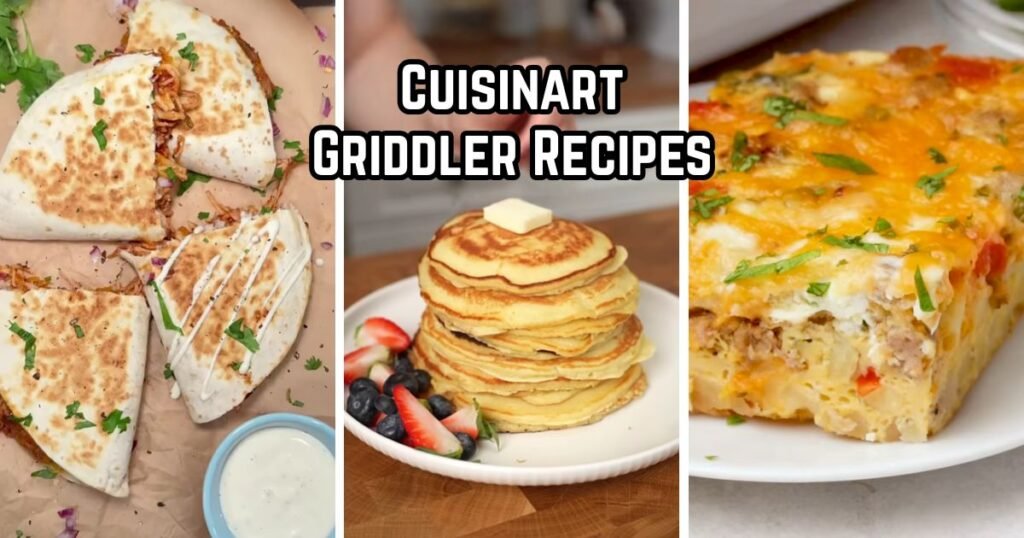 Cuisinart Griddler Recipes