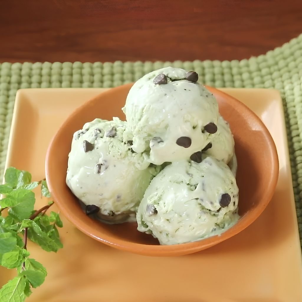 Mint Chocolate Chip Ice Cream