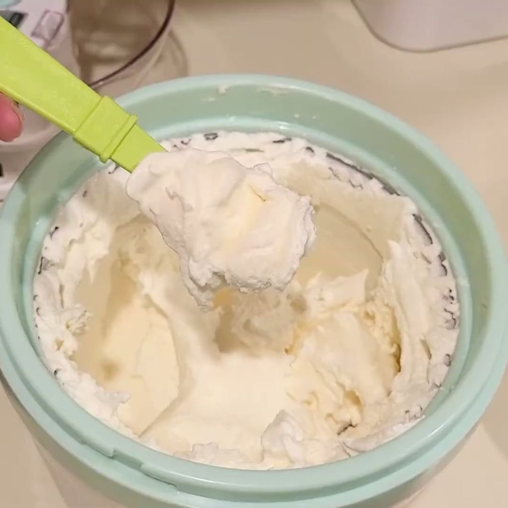 Vanilla Frozen Yogurt