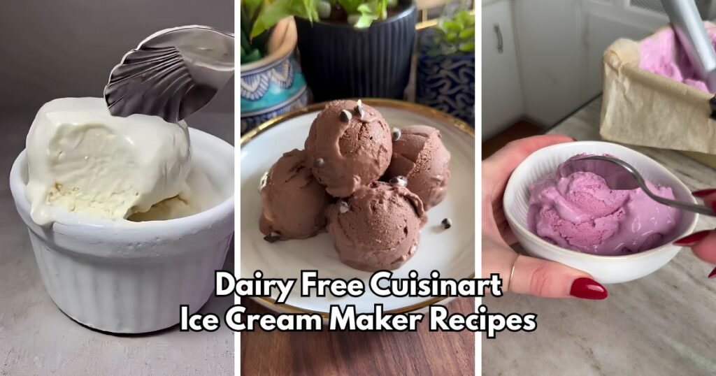 Dairy Free Cuisinart Ice Cream Maker Recipes