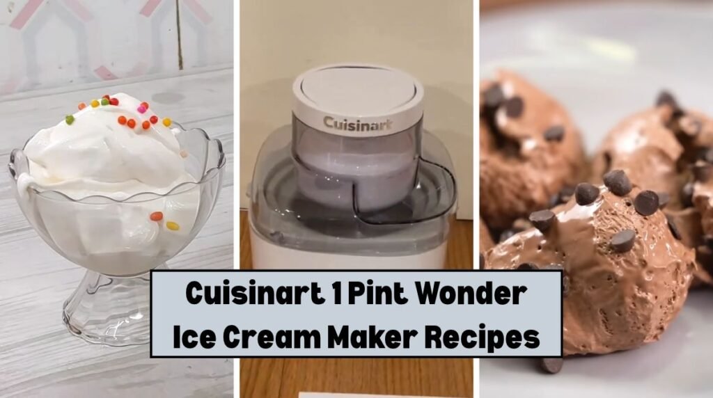 Cuisinart 1 Pint Wonder Ice Cream Maker Recipes